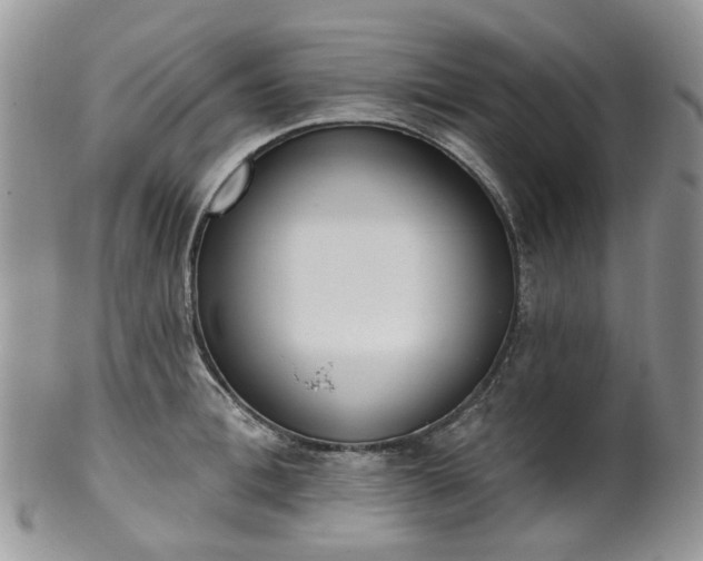 X0000100410996200806131032