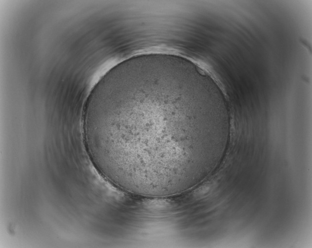 X0000100410998200806131032