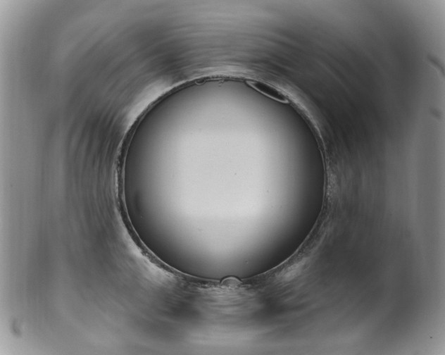 X0000100410999200806131032