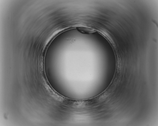 X0000100411000200806131032