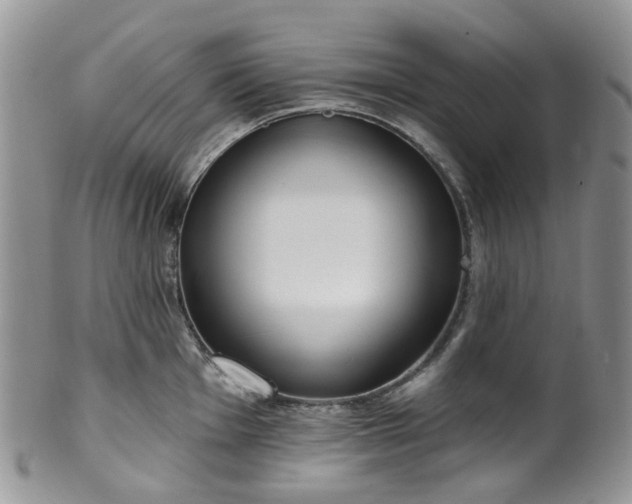 X0000100411001200806131032