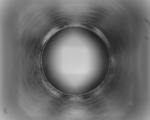 X0000100411002200806131032