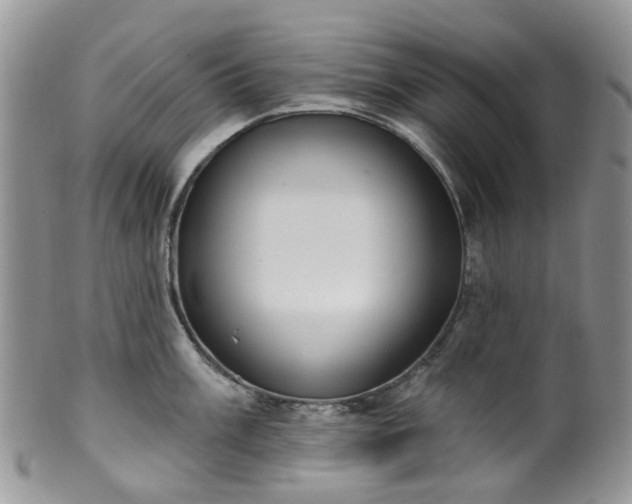 X0000100411003200806131032