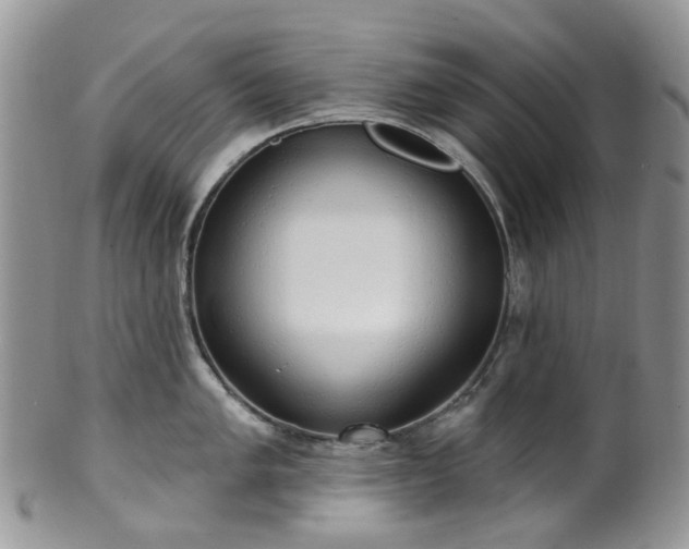 X0000100411005200806131032