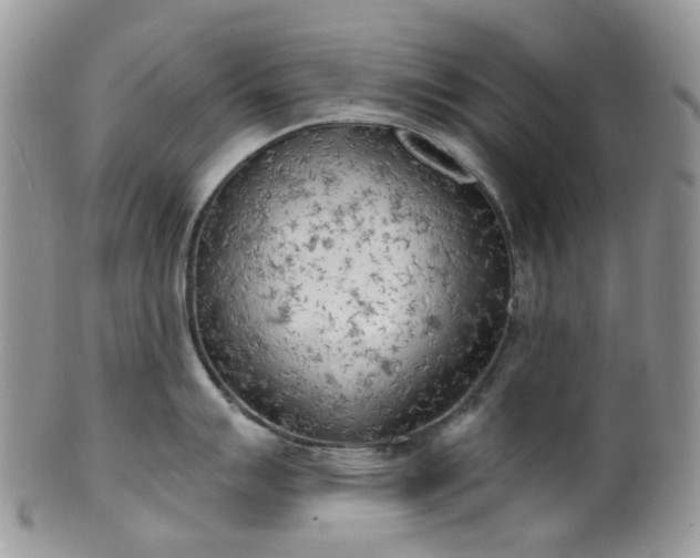 X0000100411007200806131032