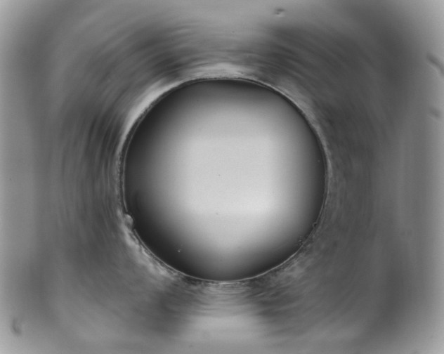 X0000100411008200806131032