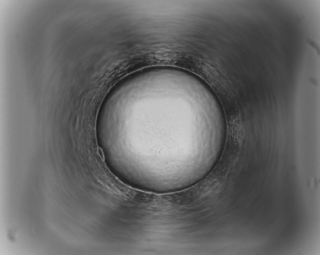 X0000100411009200806131031