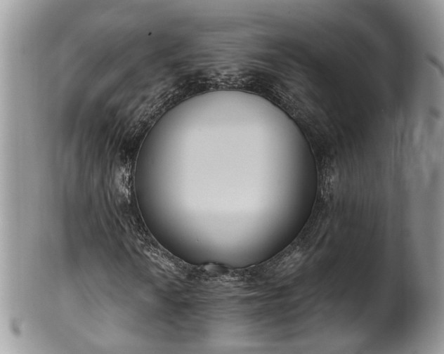 X0000100411010200806131031