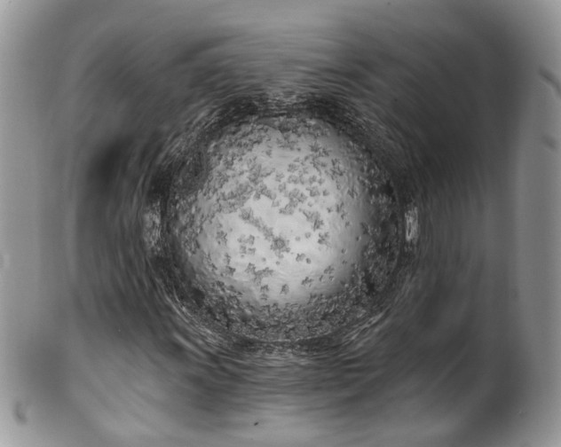 X0000100411011200806131031