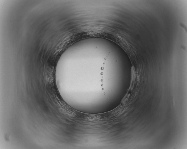 X0000100411012200806131031