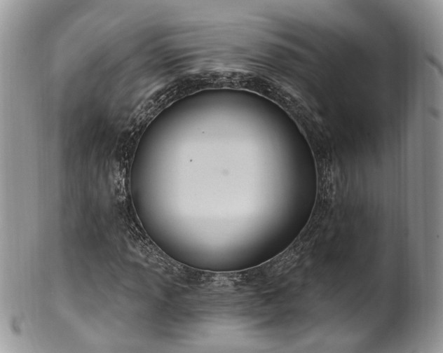 X0000100411013200806131031