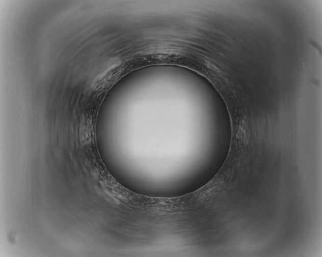 X0000100411014200806131031