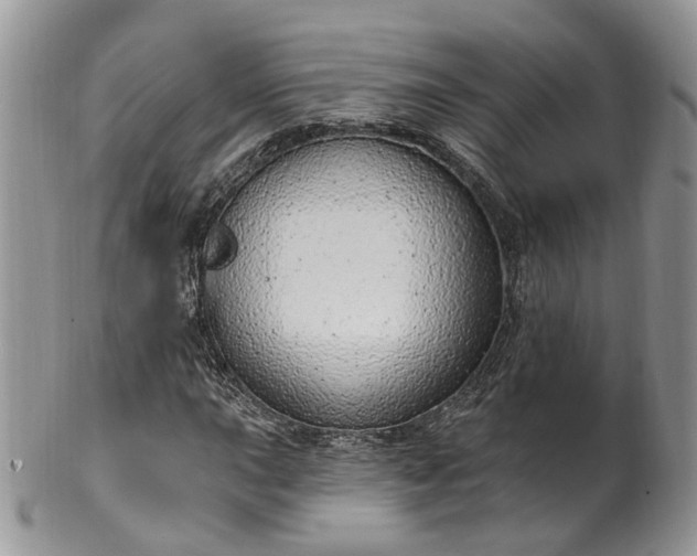 X0000100411015200806131031