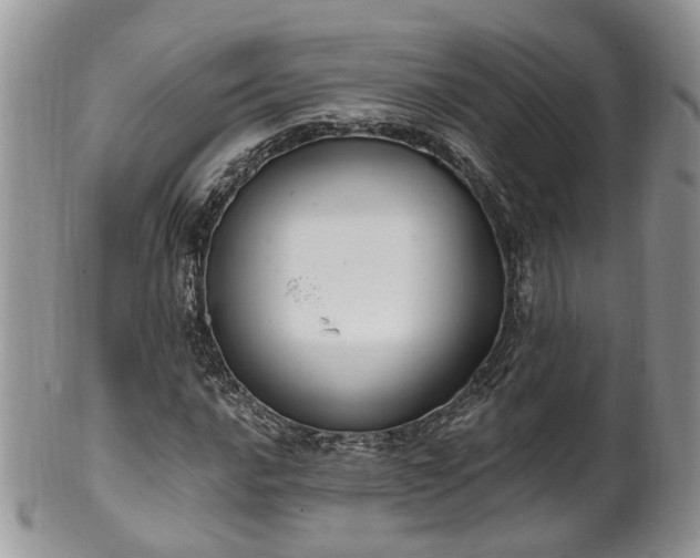 X0000100411016200806131031