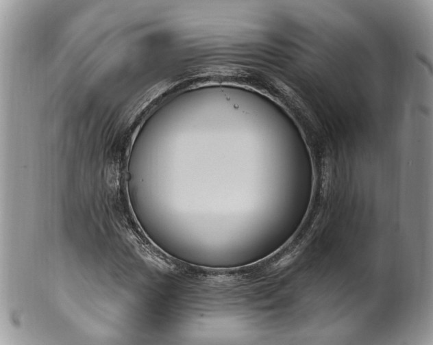 X0000100411017200806131031