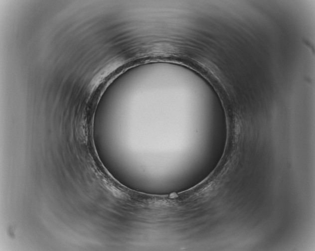 X0000100411018200806131031