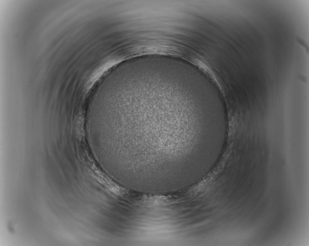 X0000100411019200806131031