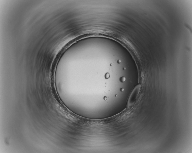 X0000100411020200806131031