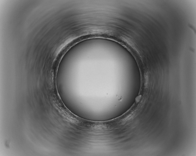 X0000100411021200806131031