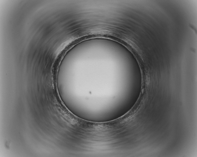 X0000100411022200806131031