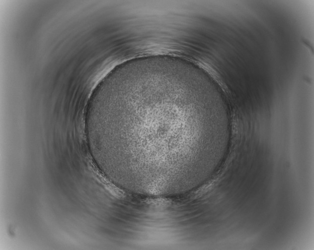 X0000100411023200806131031