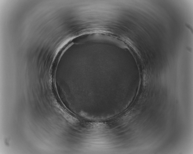 X0000100411024200806131031