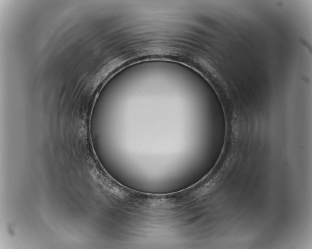 X0000100411025200806131031