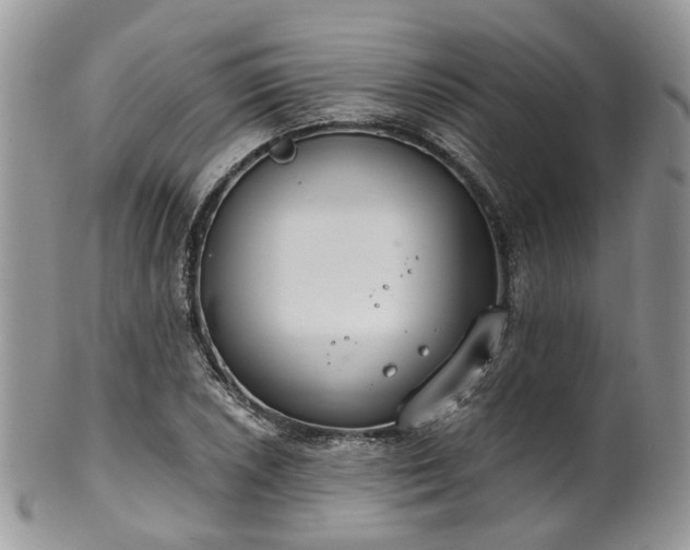 X0000100411026200806131031