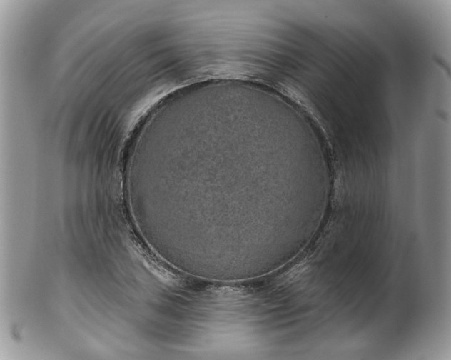 X0000100411027200806131031