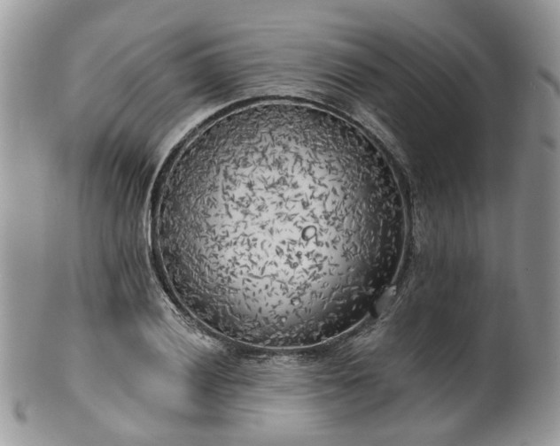 X0000100411028200806131031