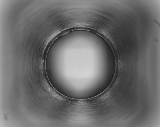 X0000100411029200806131031