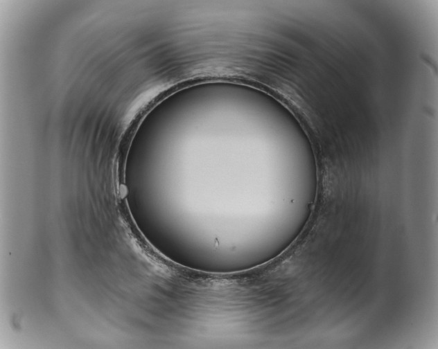 X0000100411030200806131031