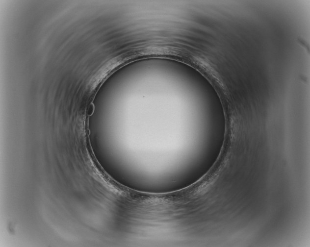 X0000100411033200806131031