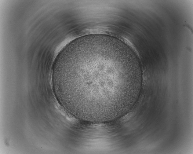 X0000100411035200806131031