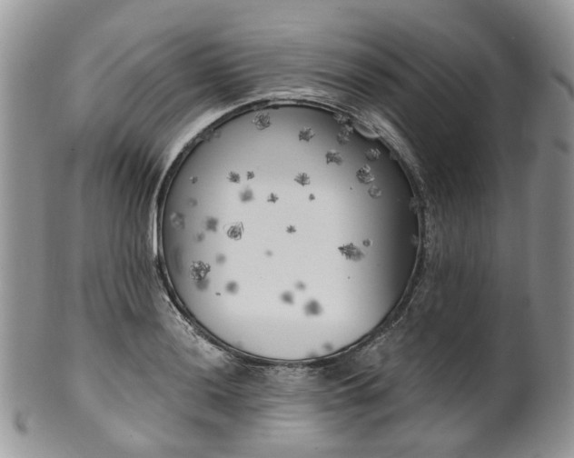 X0000100411036200806131031