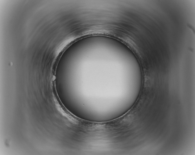 X0000100411038200806131031