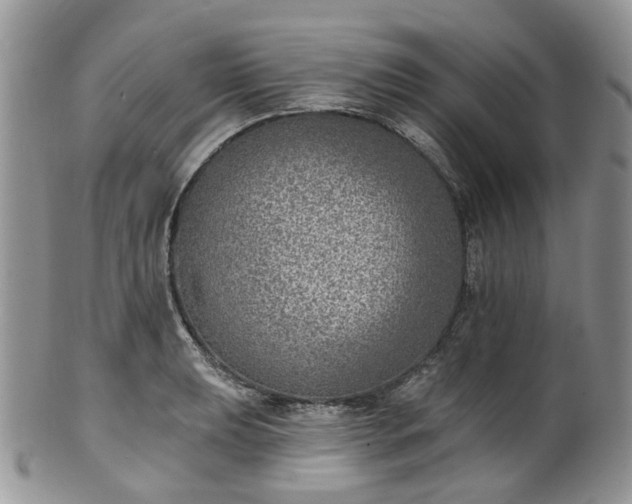 X0000100411039200806131031