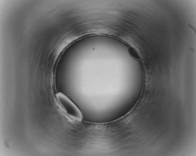 X0000100411040200806131031