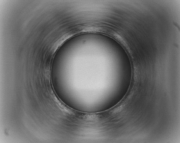 X0000100411041200806131031