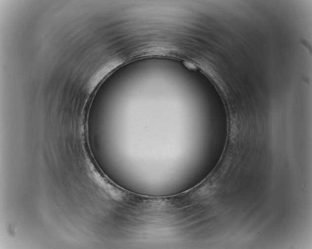 X0000100411042200806131031