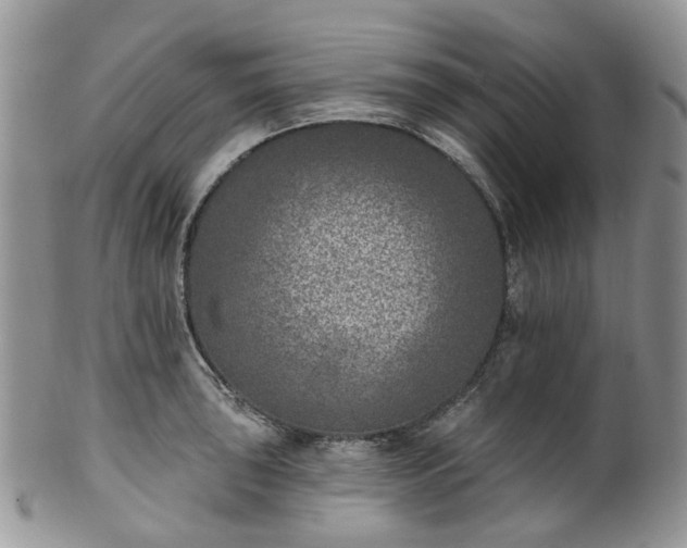 X0000100411043200806131031