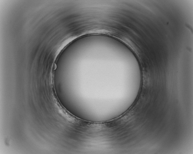 X0000100411044200806131031