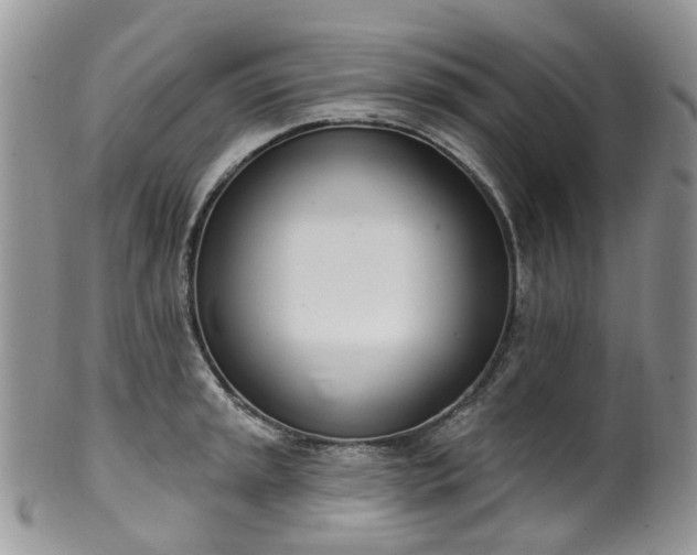 X0000100411045200806131031