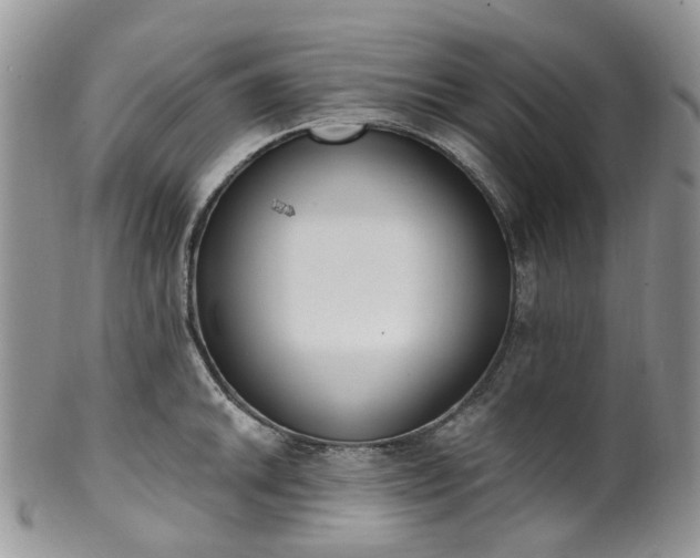 X0000100411046200806131031