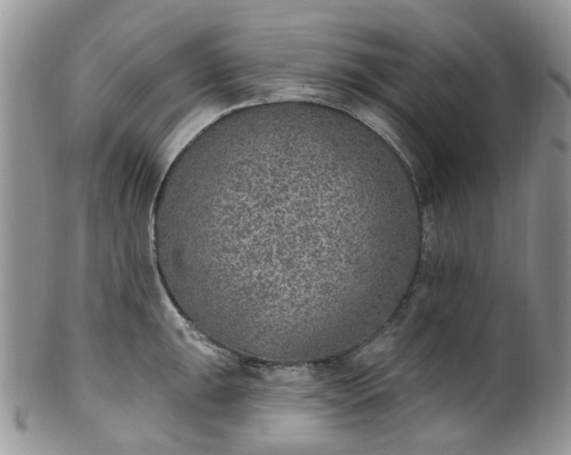 X0000100411047200806131031