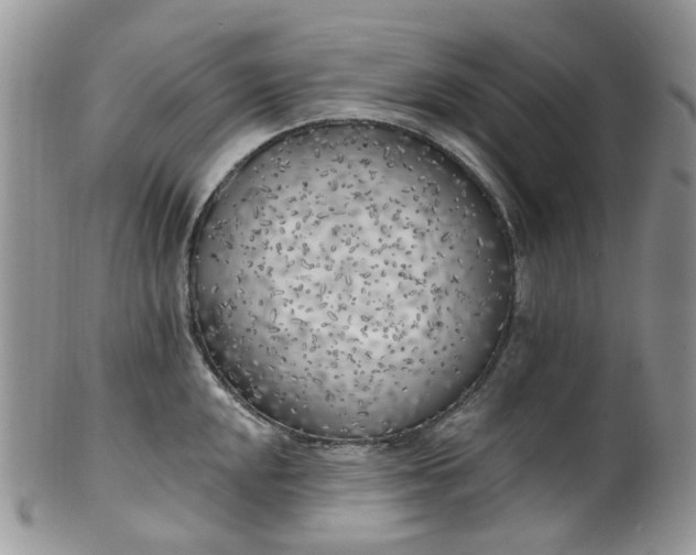 X0000100411048200806131032