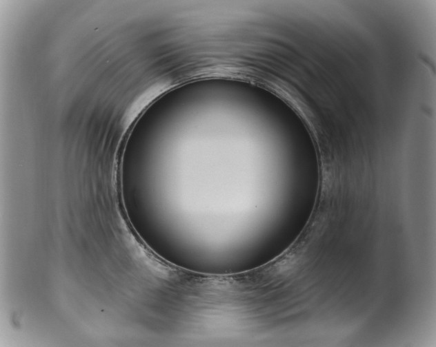 X0000100411050200806131032