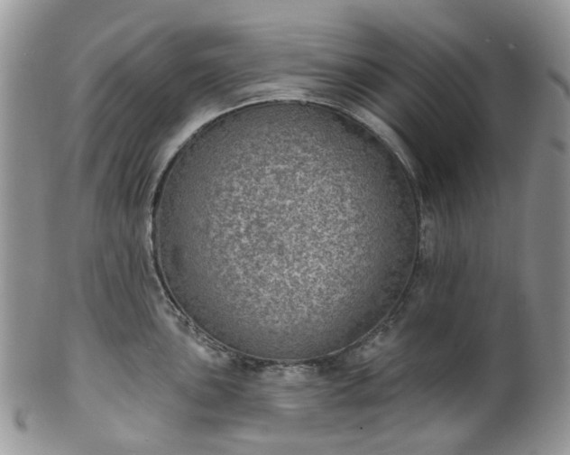 X0000100411051200806131032