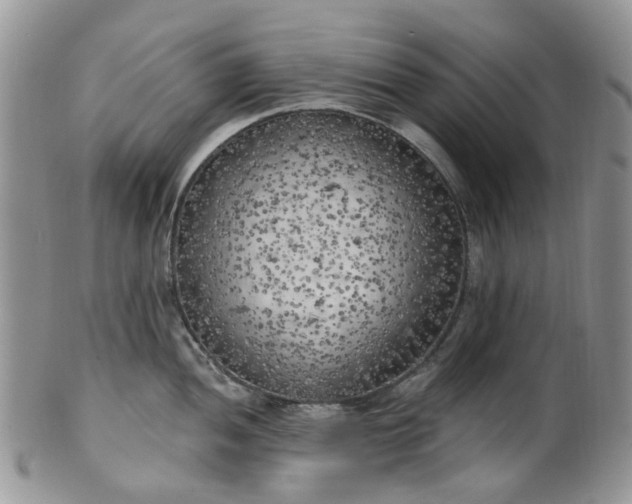 X0000100411052200806131032