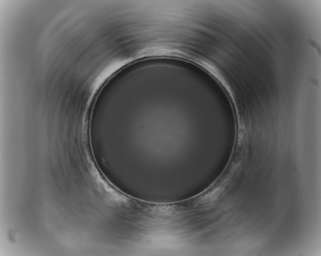 X0000100411053200806131032